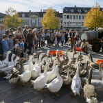 Fête des vendanges 2024 - Commune libre de Saint-Brice Du 17 au 29 sept 2024