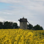 Visite guidée du Moulin de Frouville Pensier