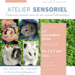 Atelier sensoriel : Comment prendre soin de son animal domestique Le 15 nov 2024