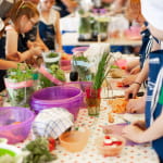 Festival AlimenTerre - Atelier cuisine Le 16 nov 2024